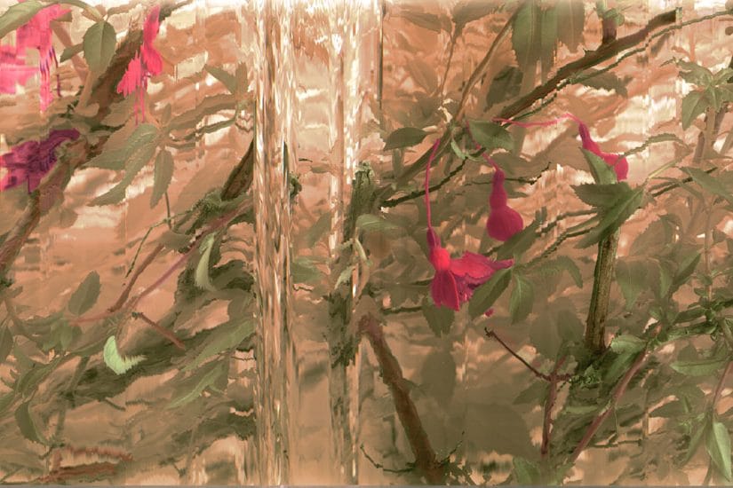 Coolmain Composition