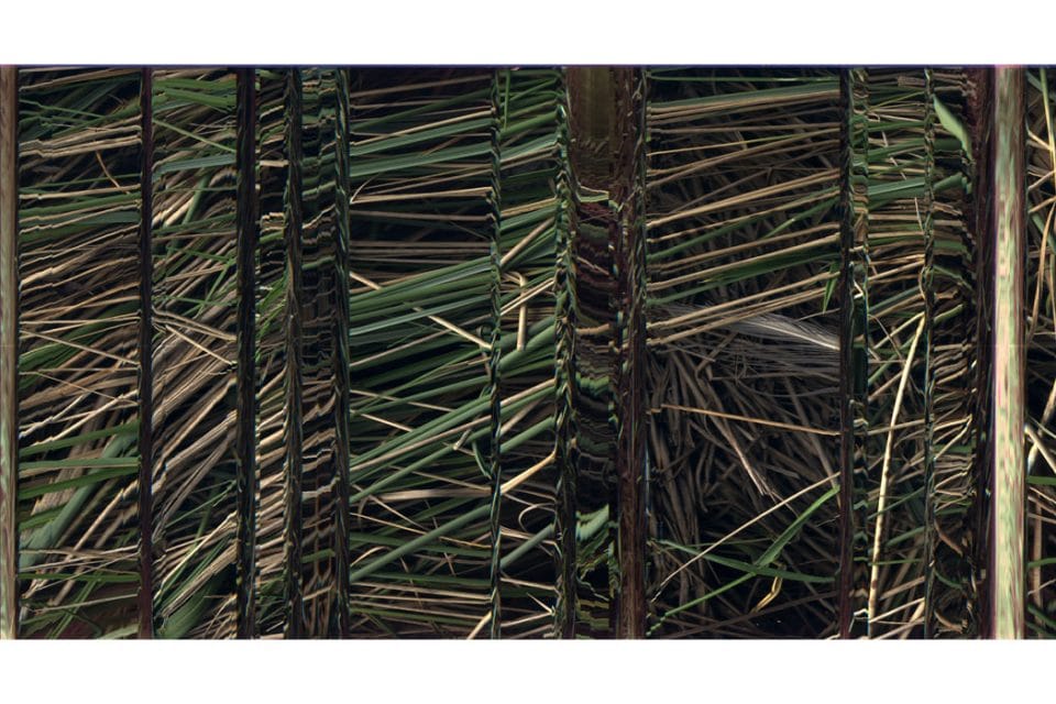 at the back of the island