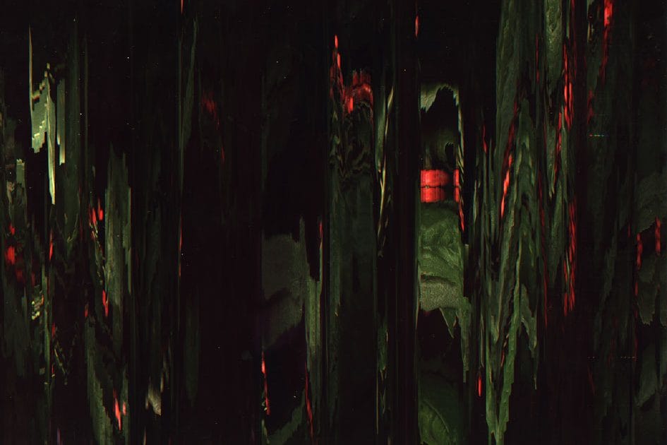 composition with fruit and leaves